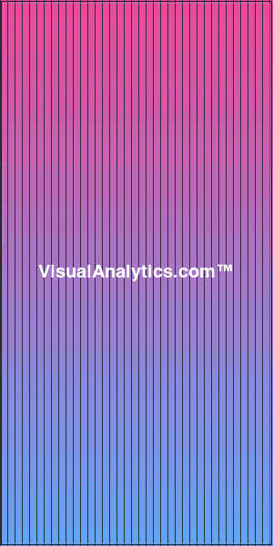 VisualAnalytics.com™ Half Page Ad